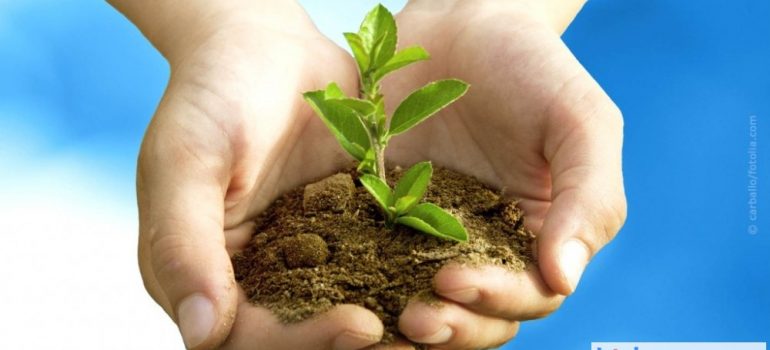 ENVIRONMENTAL PROTECTION Incinerator Reference Information ENVIRONMENTAL PROTECTION Incinerator Reference Information