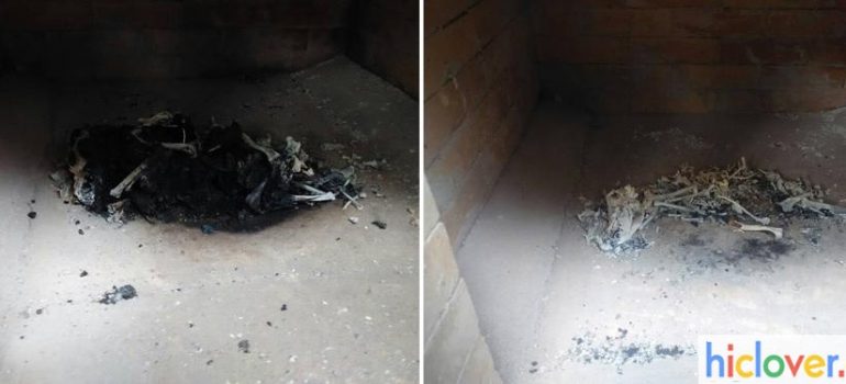 Pet Cremation Picture,dog cremation, pets incinerator”