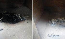 Pet crematorium up to 200KG/day