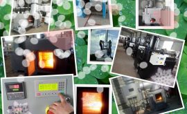 Containerized Mobile Incinerator Model CA50