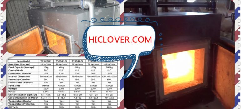 Medical waste incinerator 100kgs Model TS100